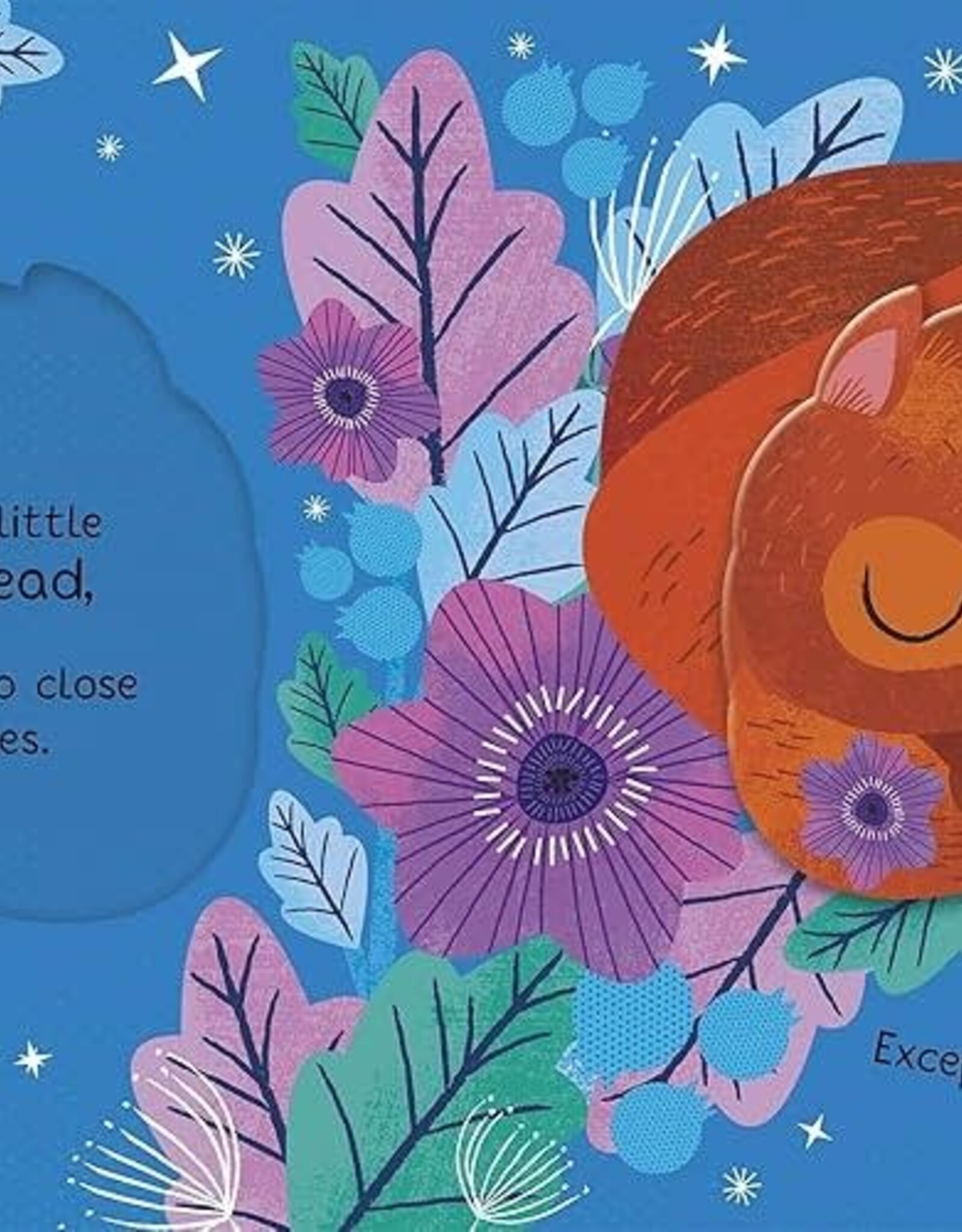 You’re My Little Sunshine Board Book