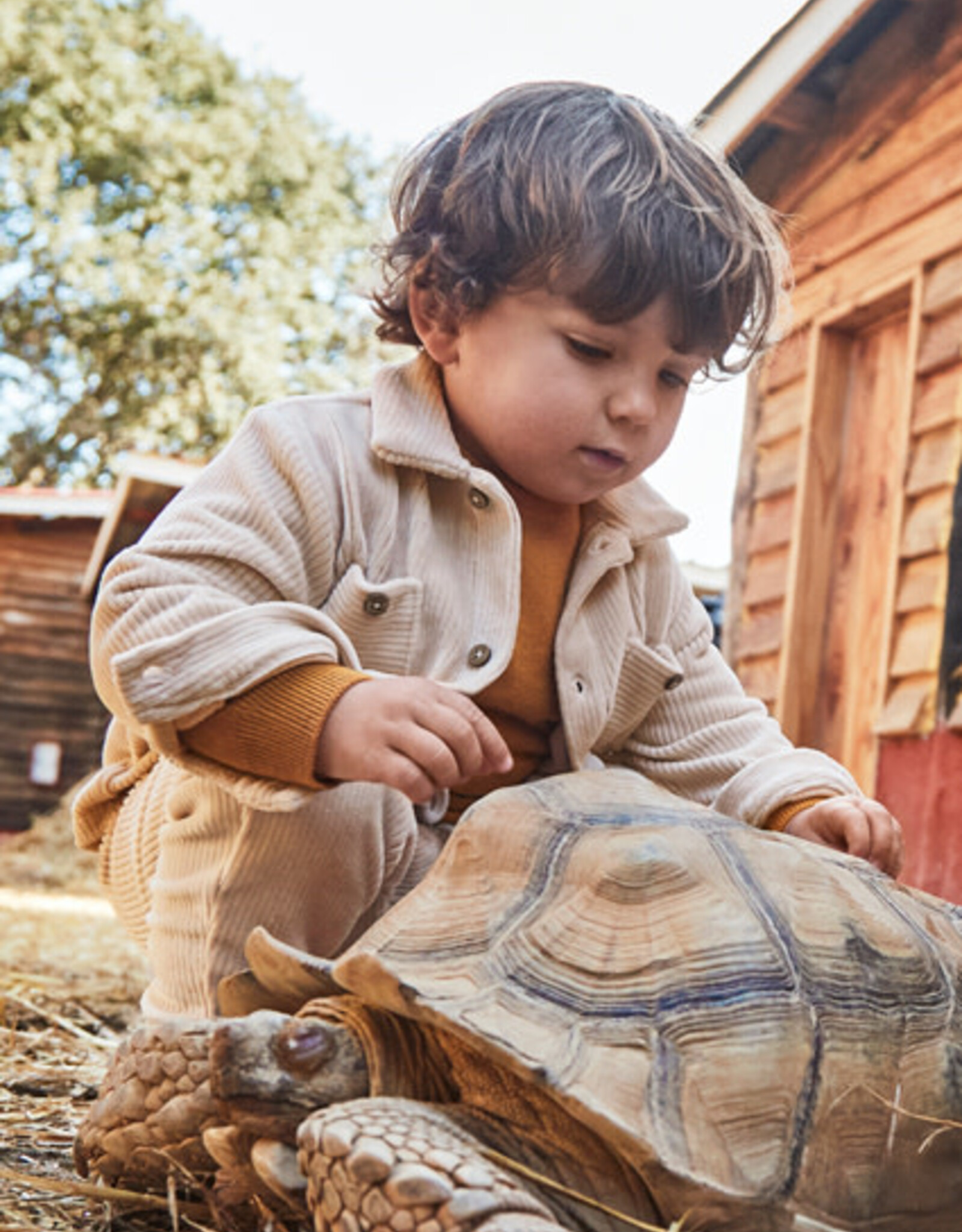 Mayoral Cereal Tan Knit Overshirt