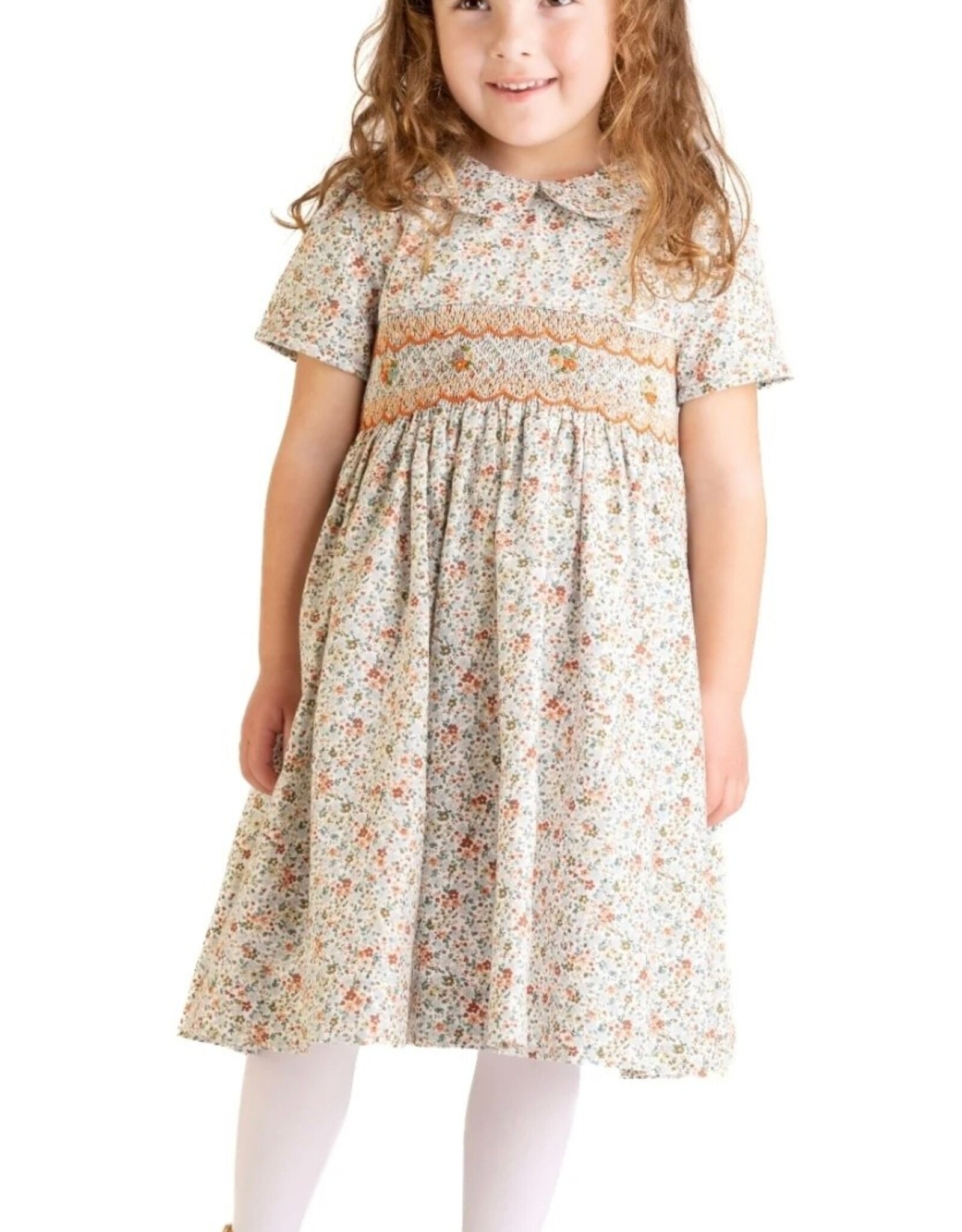 Casero Autumn Glow Dress