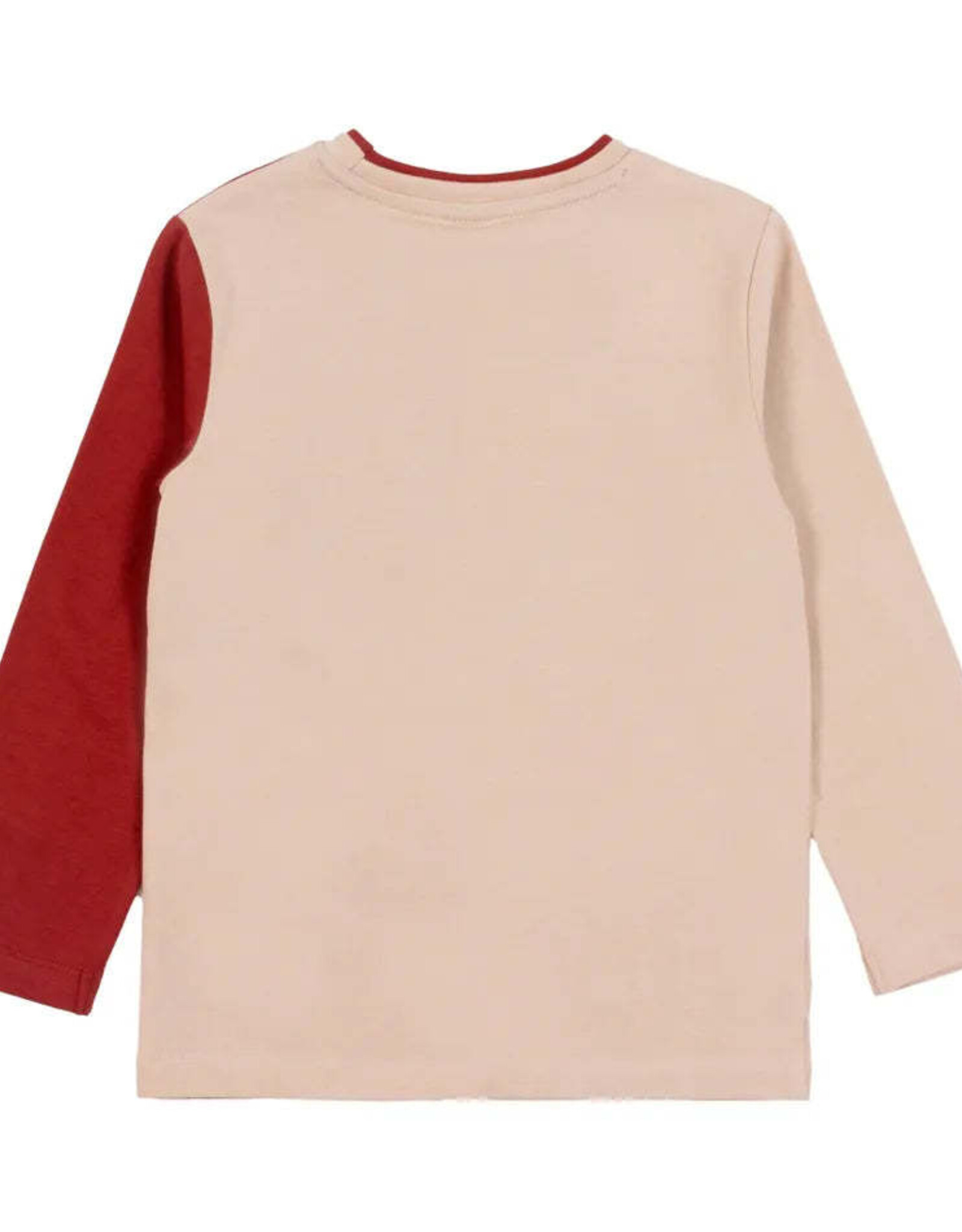 Noruk Dino Expo LS Tee