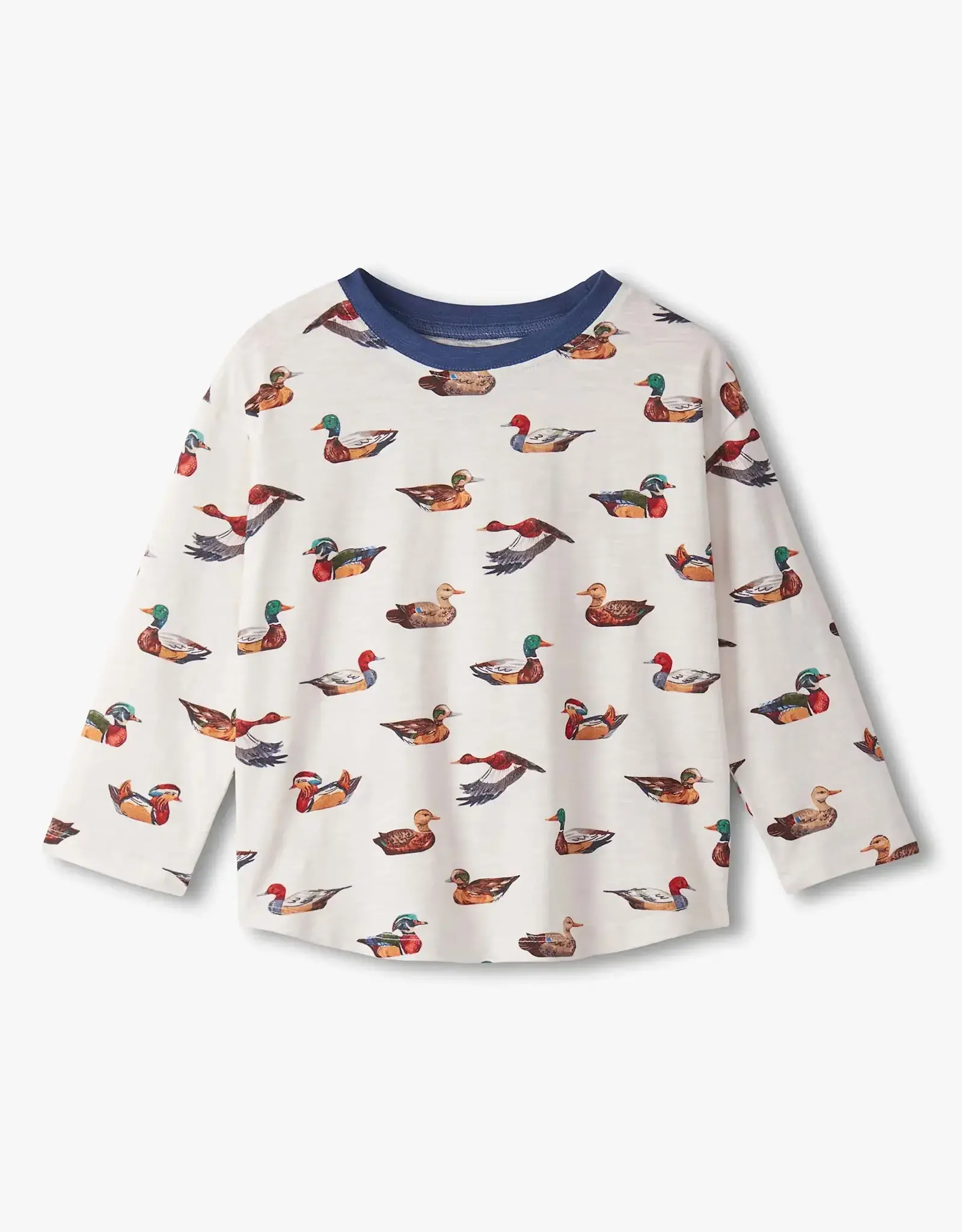 Hatley Decoy Ducks Graphic Tee and Pull On Pant Set