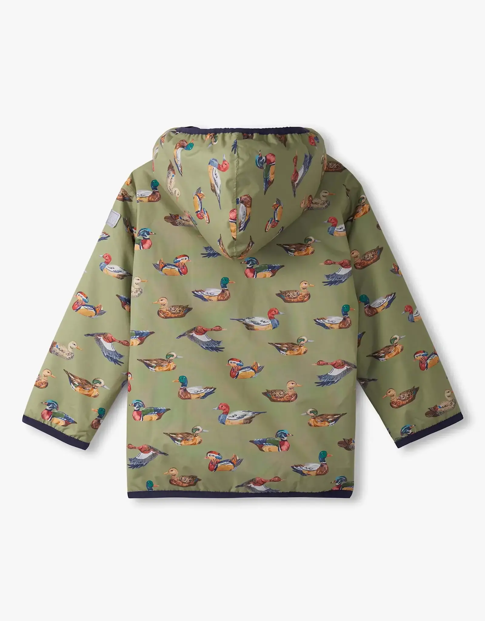 Hatley Decoy Ducks Field Jacket