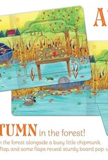 Autumn in the Forest Pop-Up Surprise Board Book