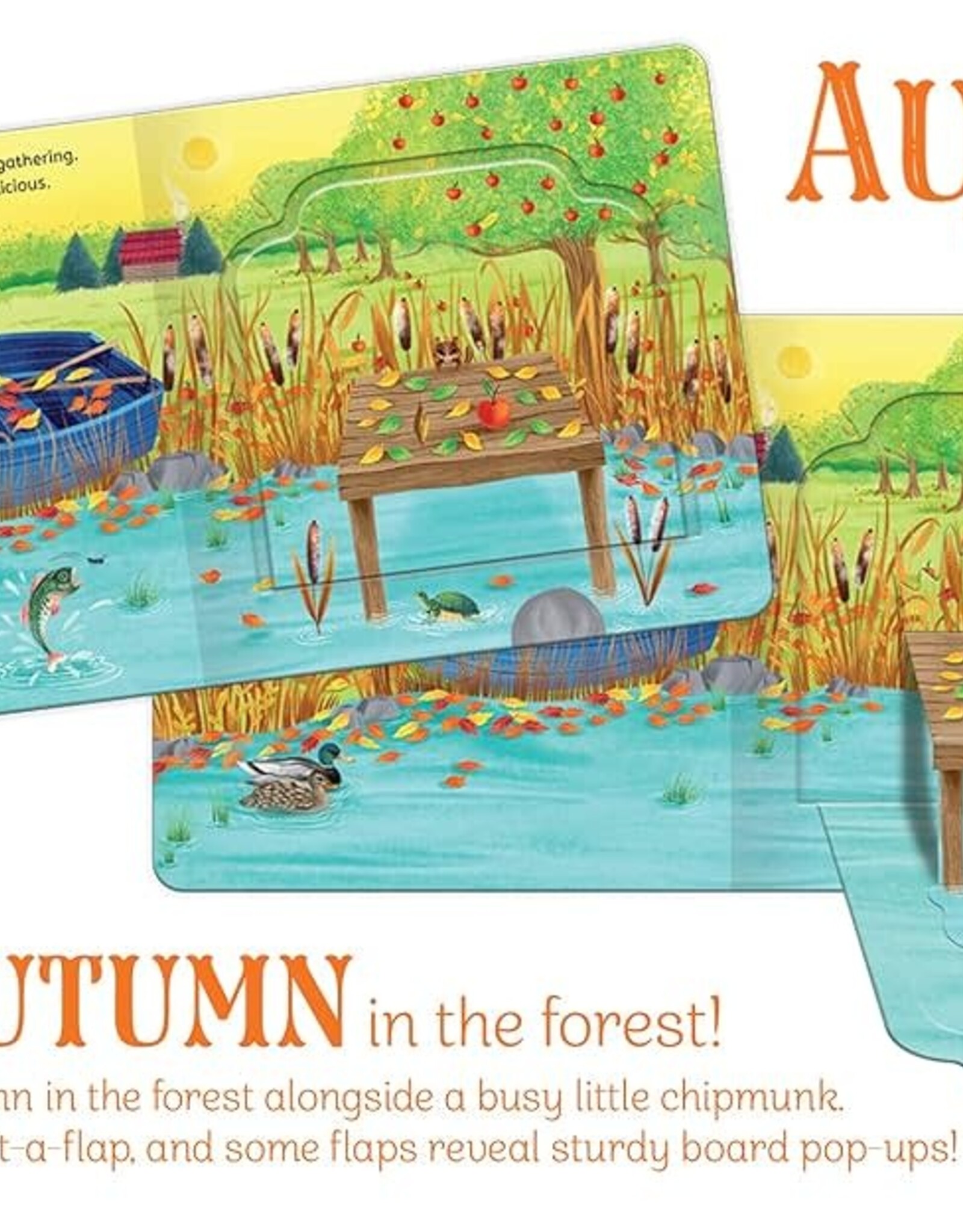 Autumn in the Forest Pop-Up Surprise Board Book