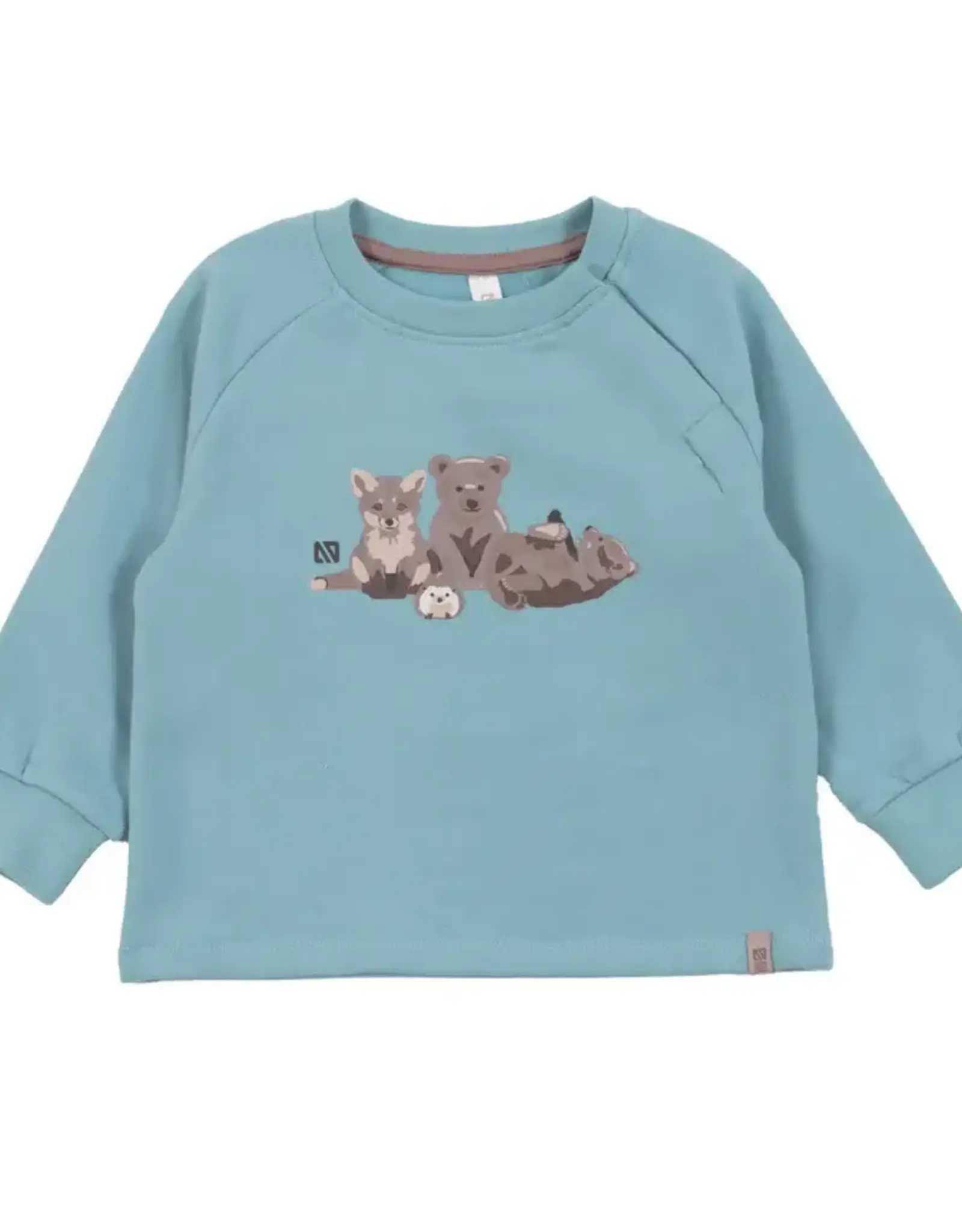 Noruk Teddy Bear 2pc Sweatshirt Set