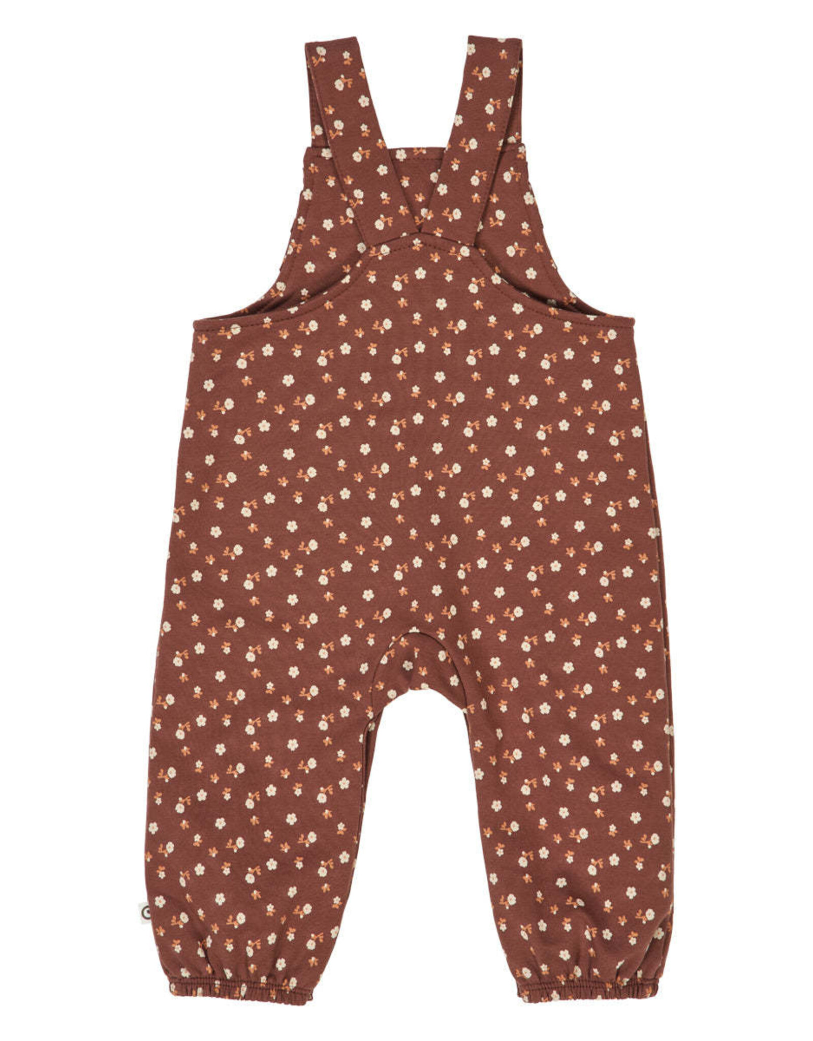 Green Cotton Cedar Floral Printed Overalls Baby