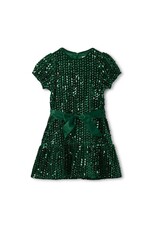 Hatley Green Sequins Velvet Dress