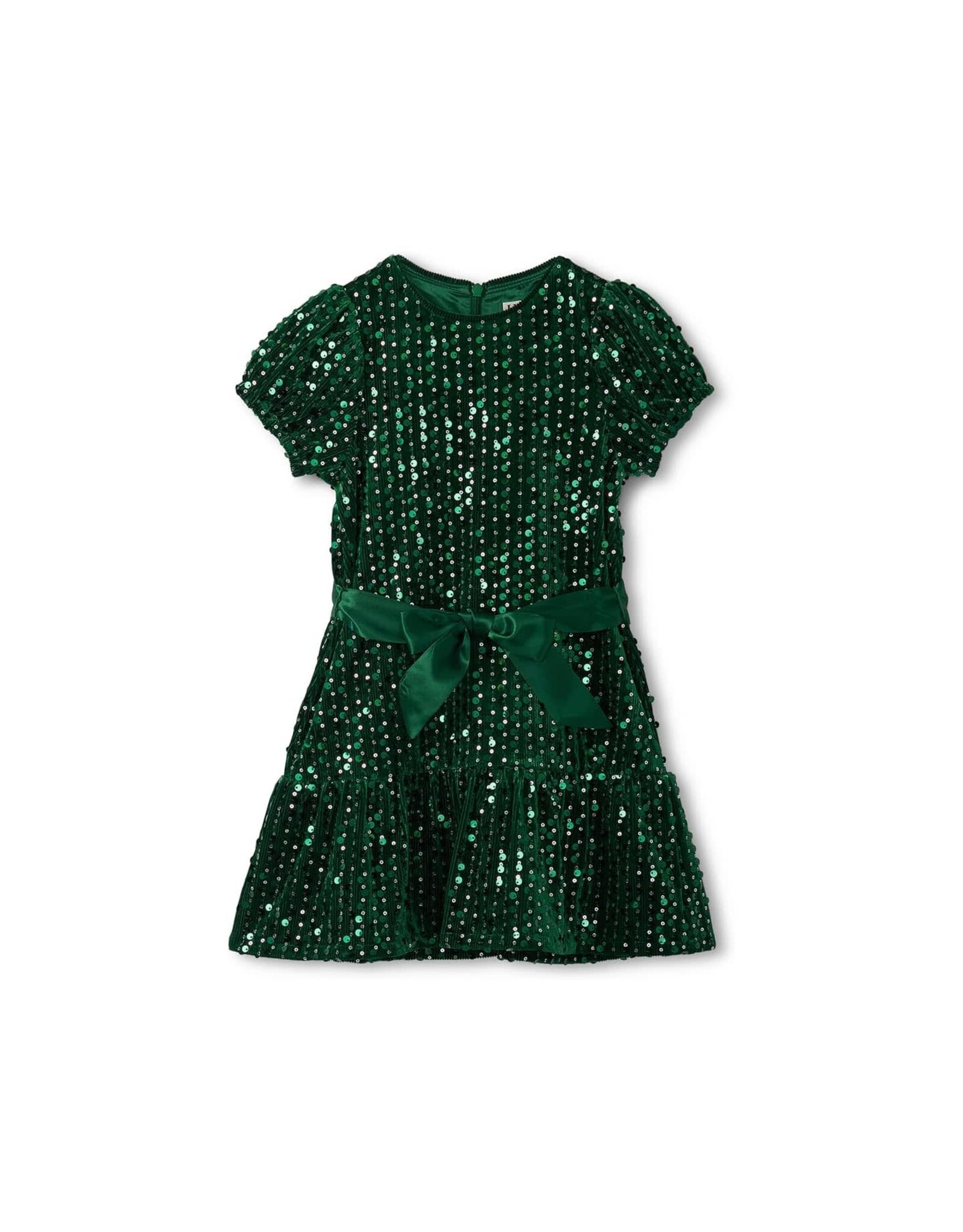 Hatley Green Sequins Velvet Dress