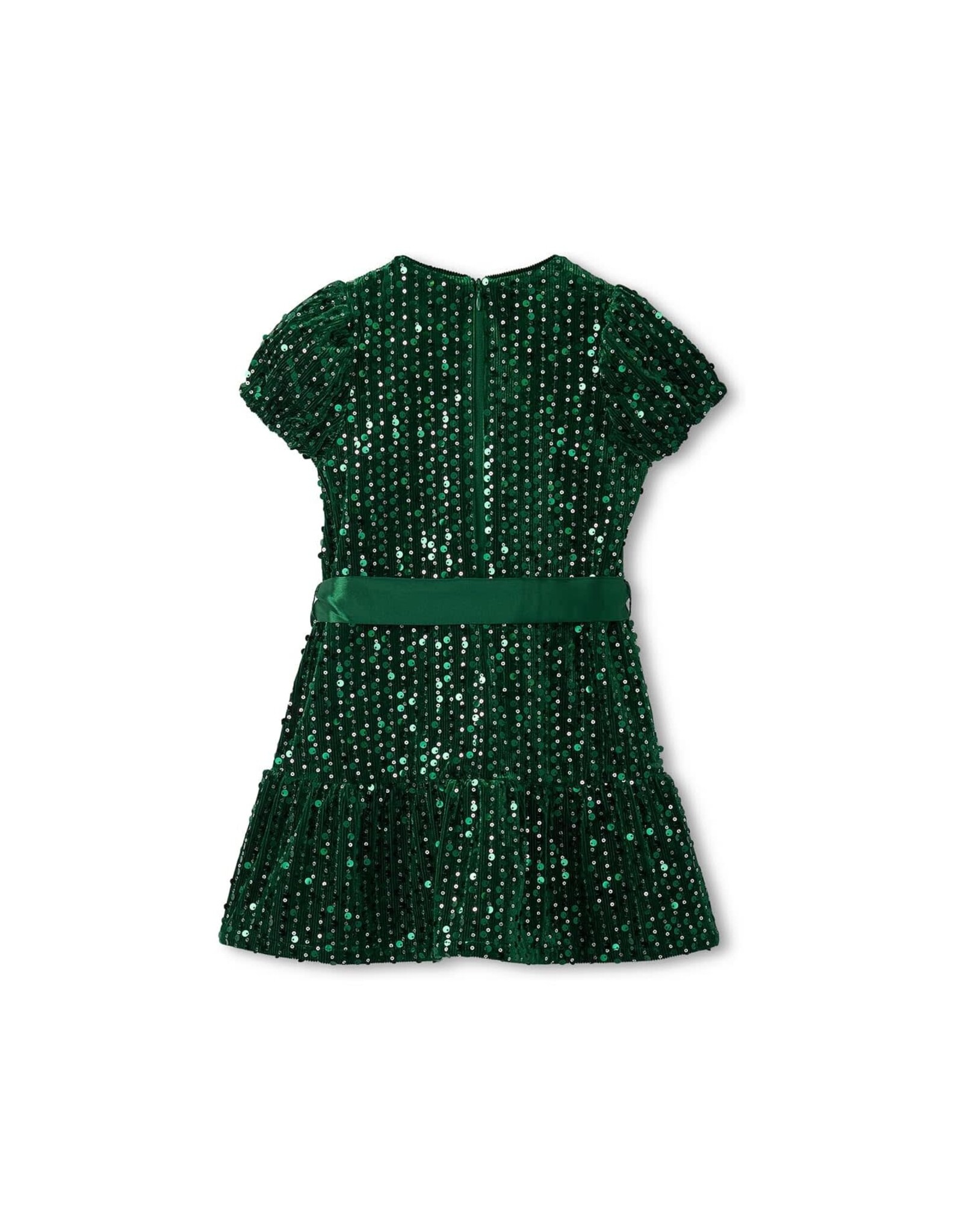 Hatley Green Sequins Velvet Dress