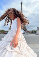Poppet & Fox Paris Tulle Dress