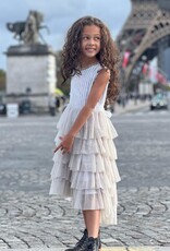 Poppet & Fox Paris Tulle Dress