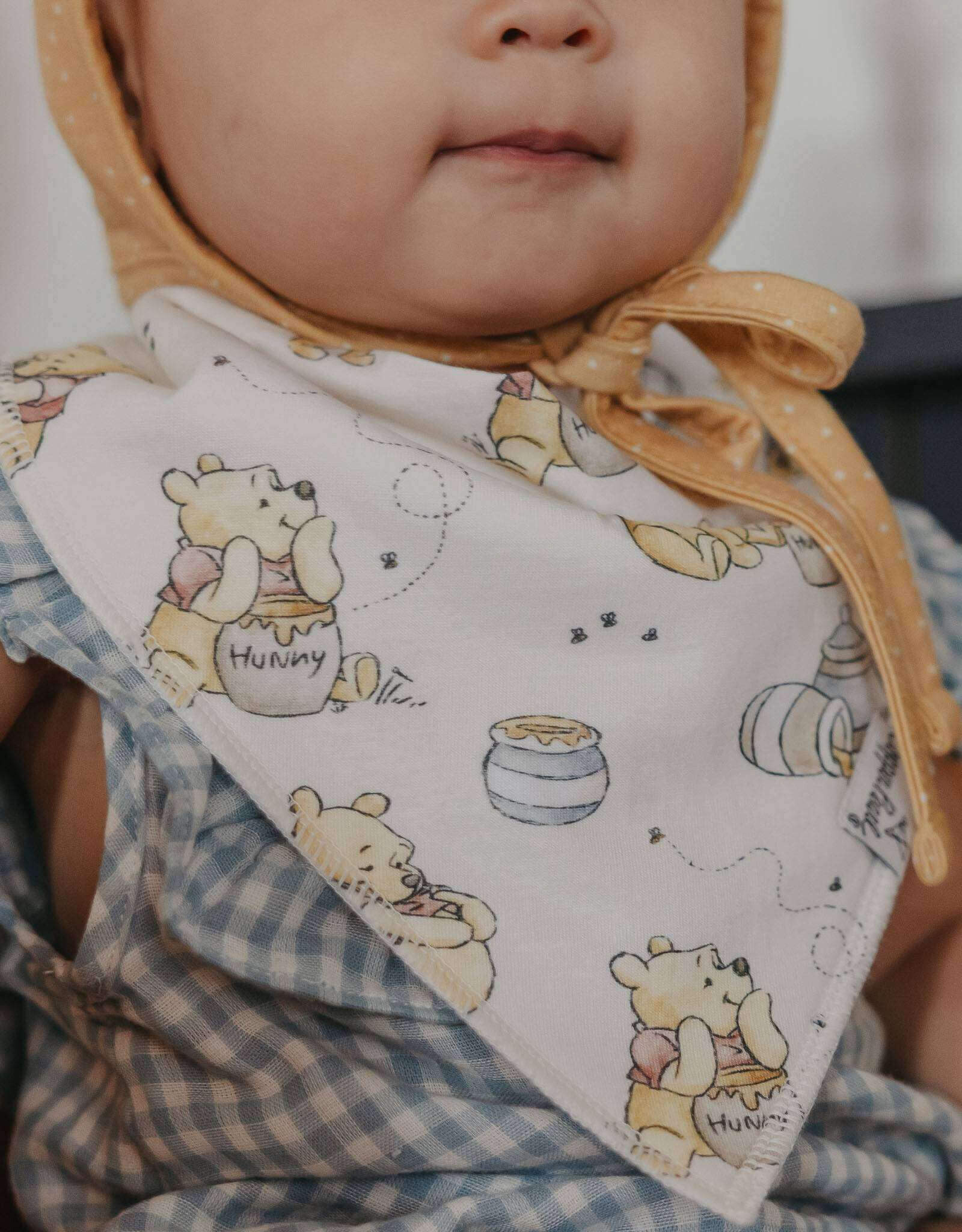 Copper Pearl Hundred Acre Woods Bib Set