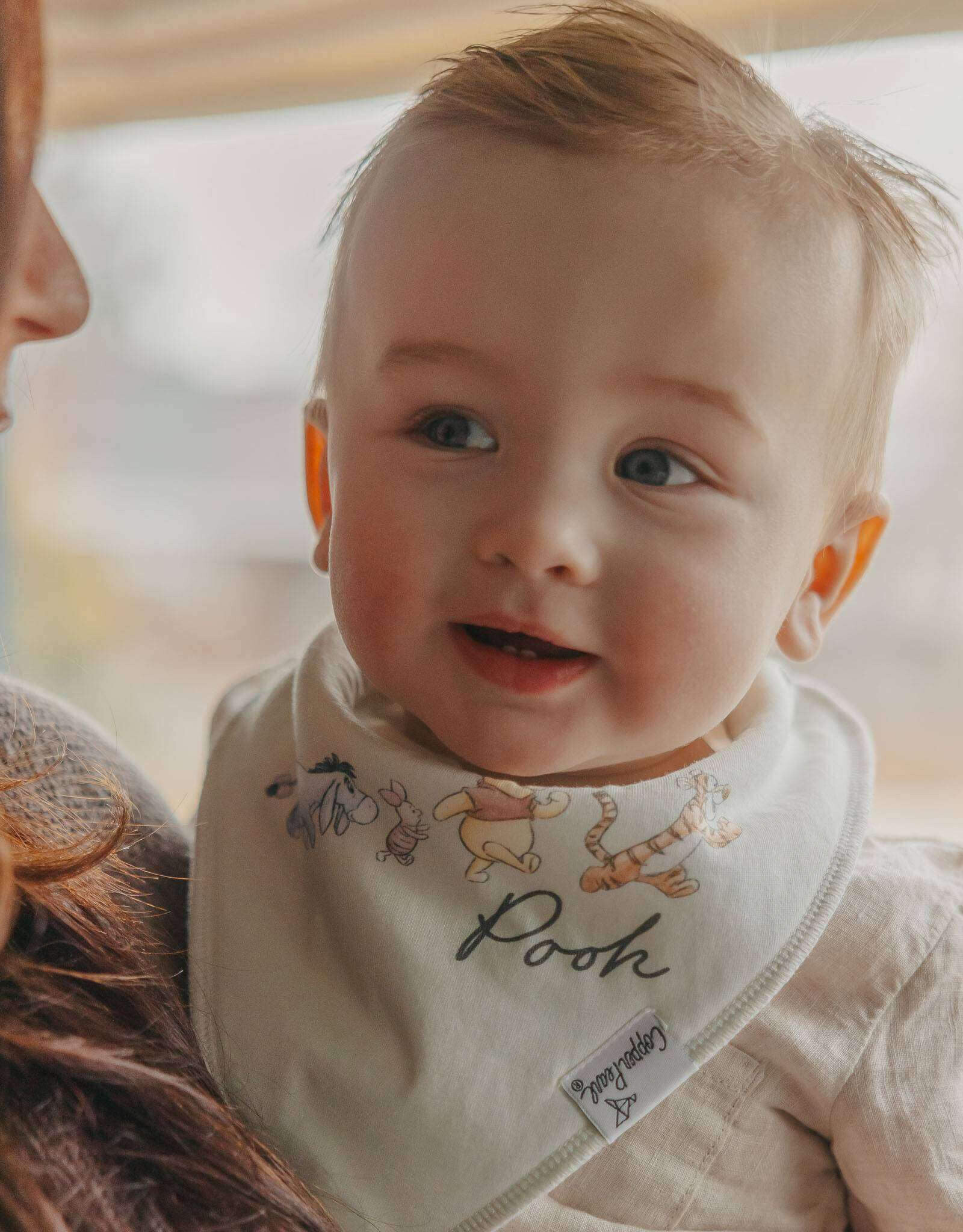 Copper Pearl Hundred Acre Woods Bib Set