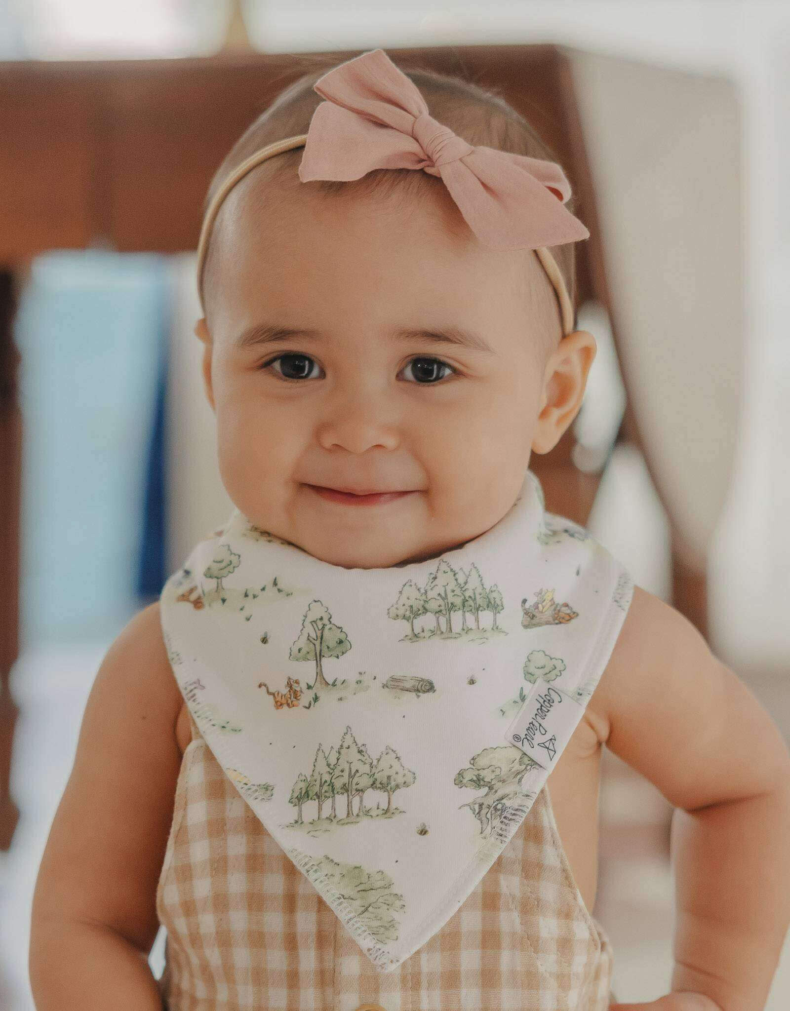 Copper Pearl Hundred Acre Woods Bib Set