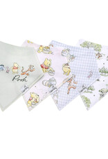 Copper Pearl Hundred Acre Woods Bib Set