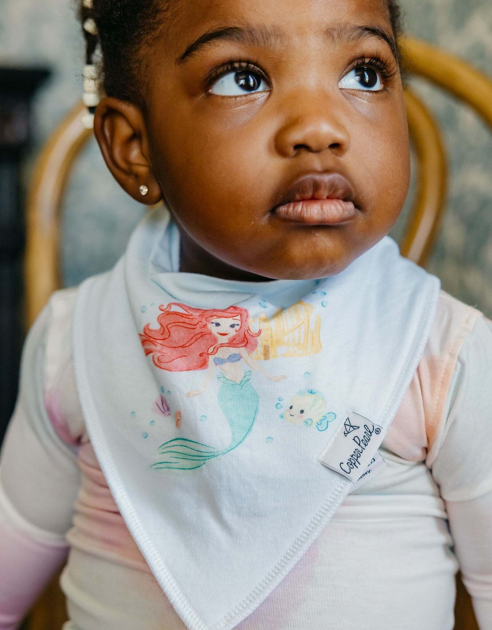 Copper Pearl Disney Princess Bib Set