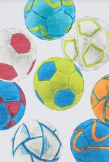 Hatley Soccer Balls Raglan Tee