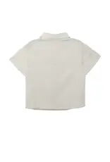 Beckett Bear Dakota Button Down Shirt