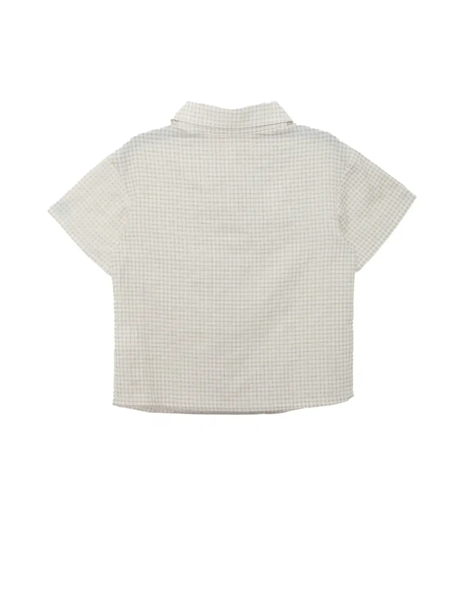 Beckett Bear Dakota Button Down Shirt