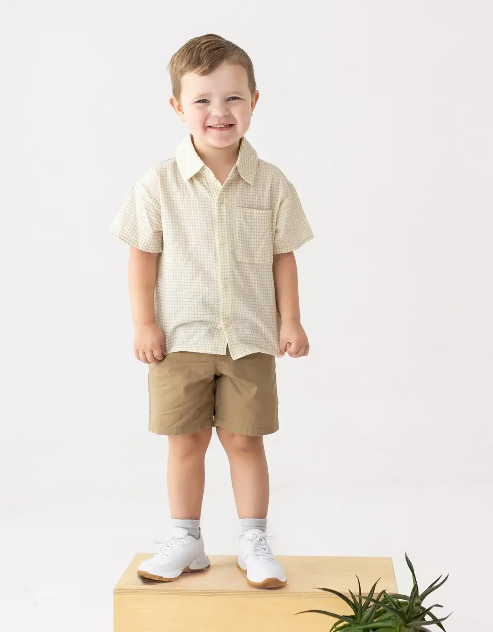 Beckett Bear Dakota Button Down Shirt