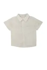 Beckett Bear Dakota Button Down Shirt