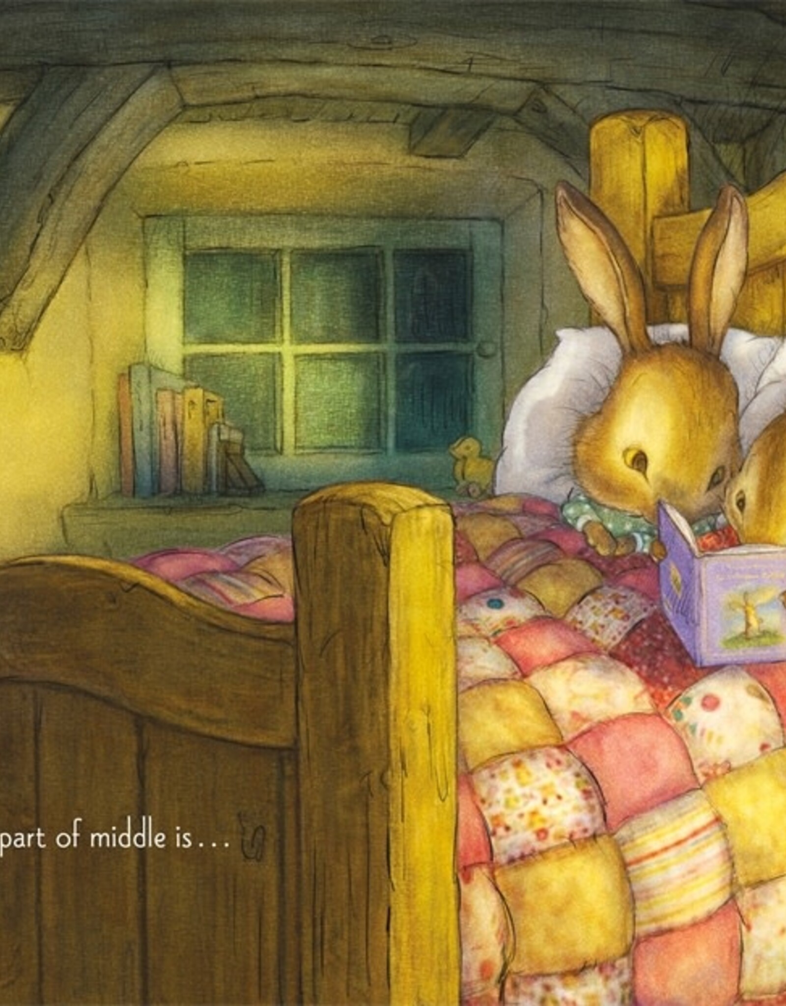 Bunny in the Middle Board Book
