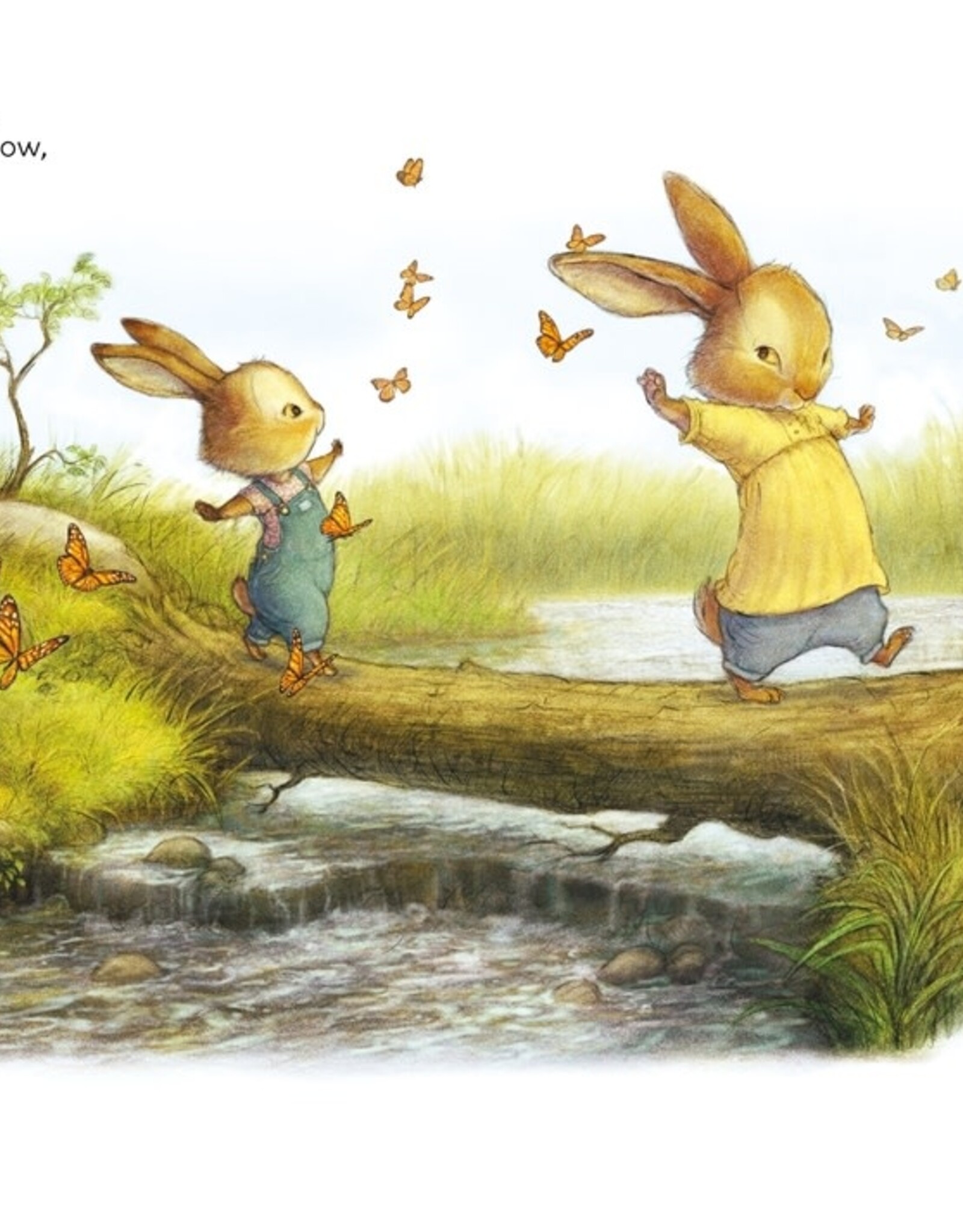 Bunny in the Middle Board Book