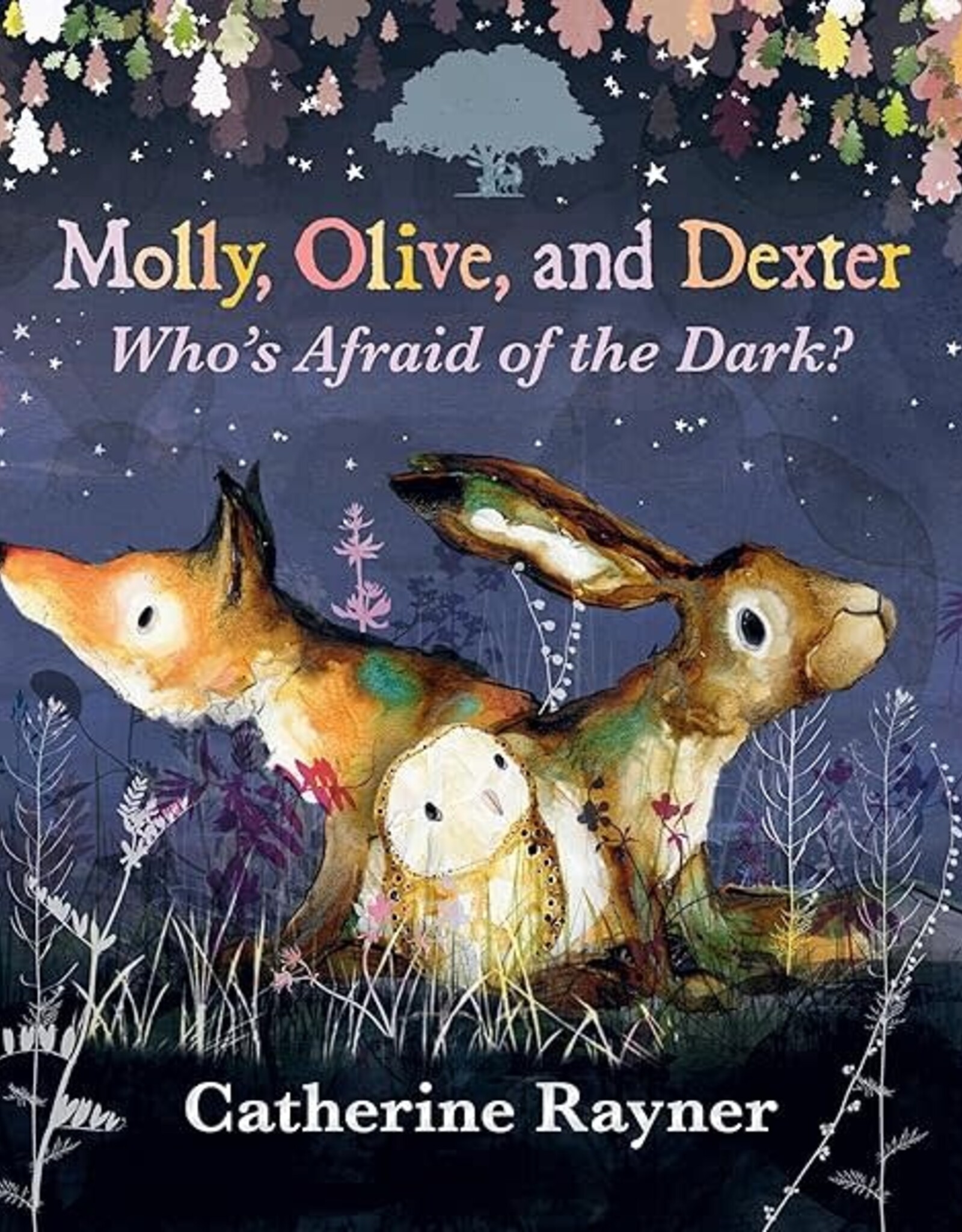 Molly, Ollie, and Dexter: Who’s Afraid of the Dark? Picture Book