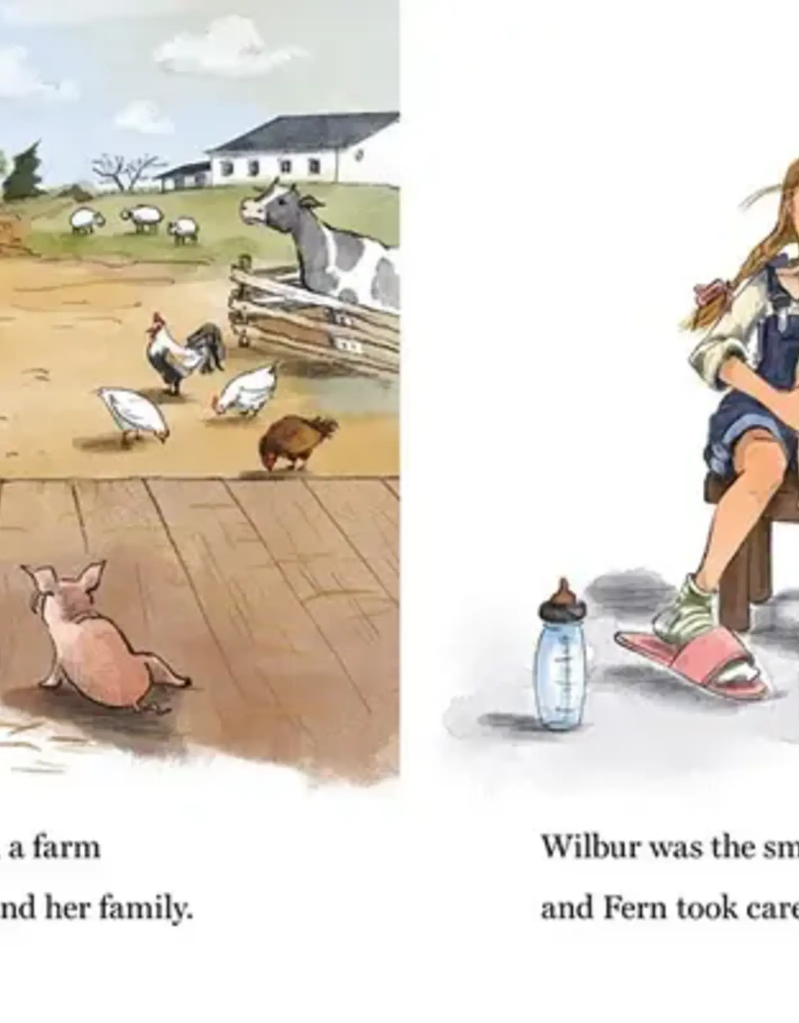 Charlotte’s Web Board Book