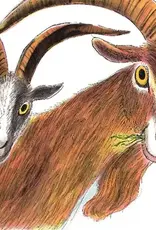 The Three Billy Goats Gruff Board Book