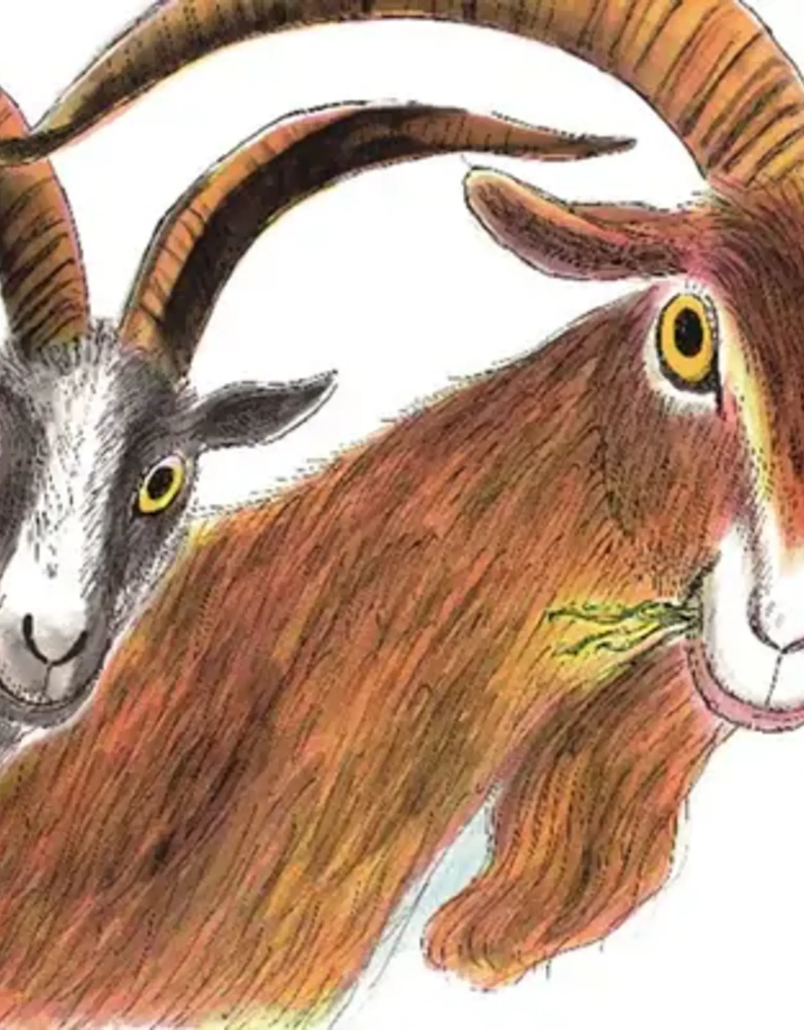 The Three Billy Goats Gruff Board Book