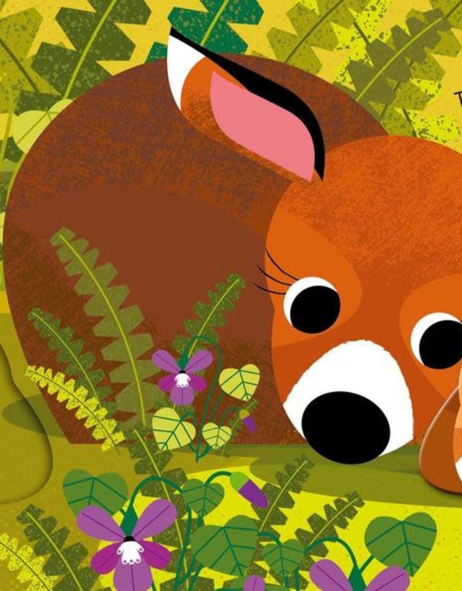 You’re My Little Mama Bear Board Book