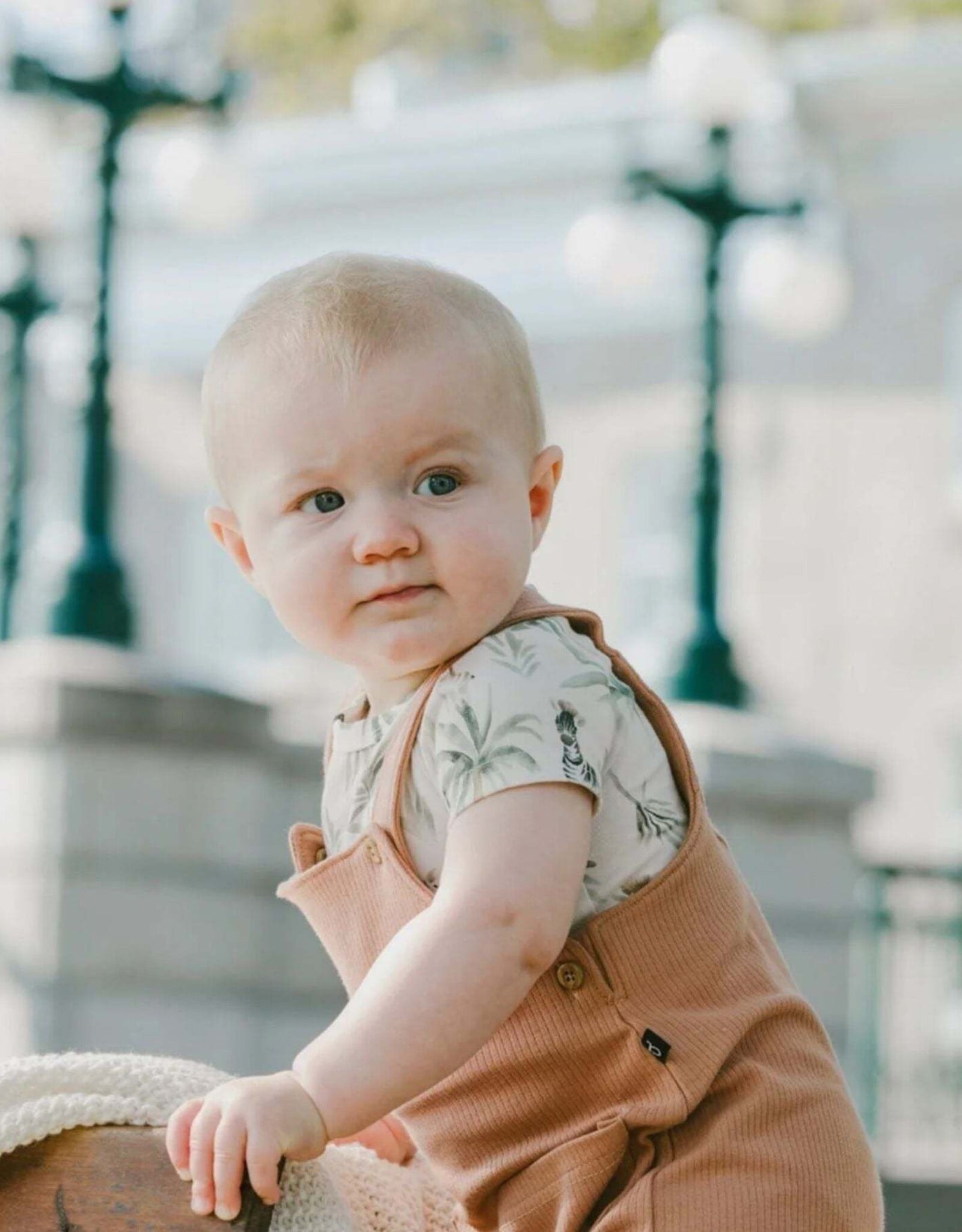 Deux Par Deux Zebra Jungle Onesie and Shortall Set