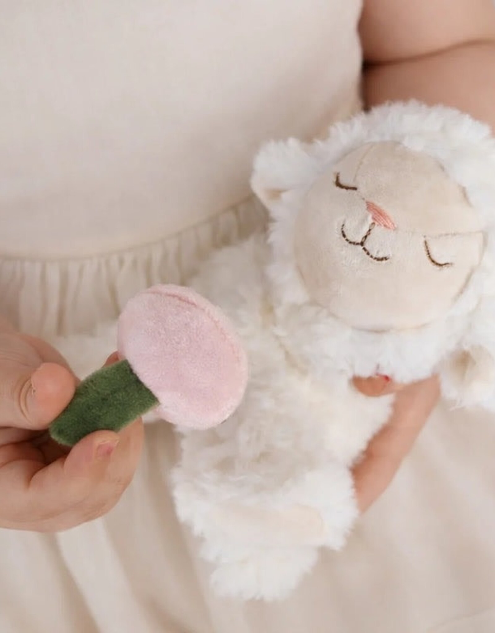 Dinkum Pets Binky Lamb