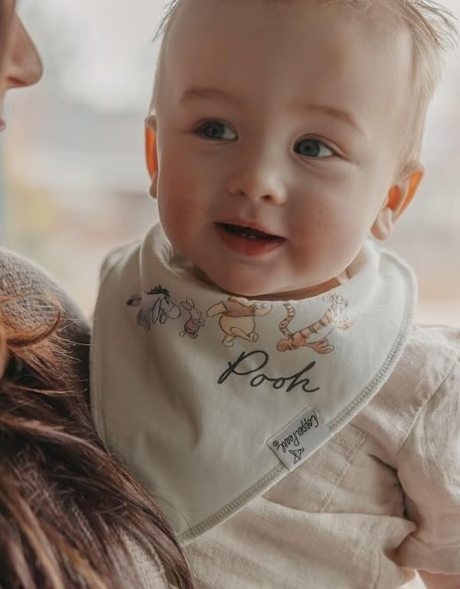 Copper Pearl Winnie the Pooh 6 pack Bandana Bib