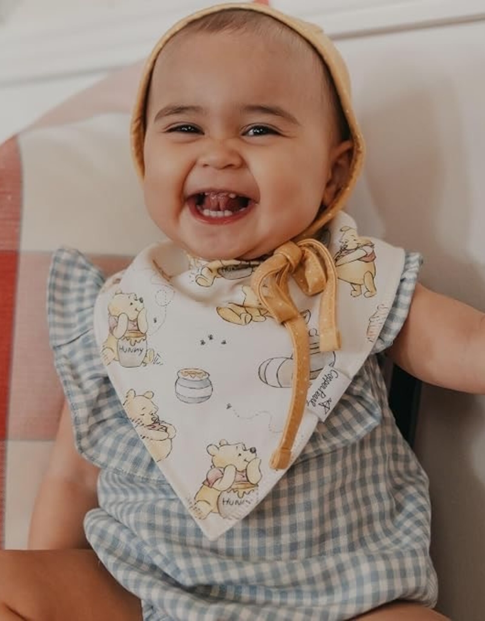 Copper Pearl Winnie the Pooh 6 pack Bandana Bib