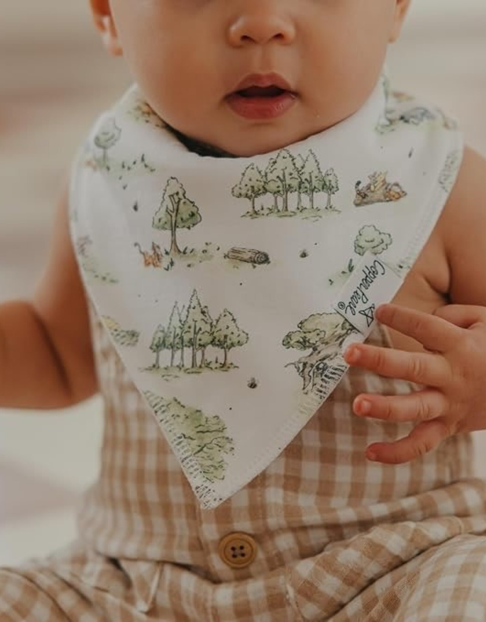 Copper Pearl Winnie the Pooh 6 pack Bandana Bib