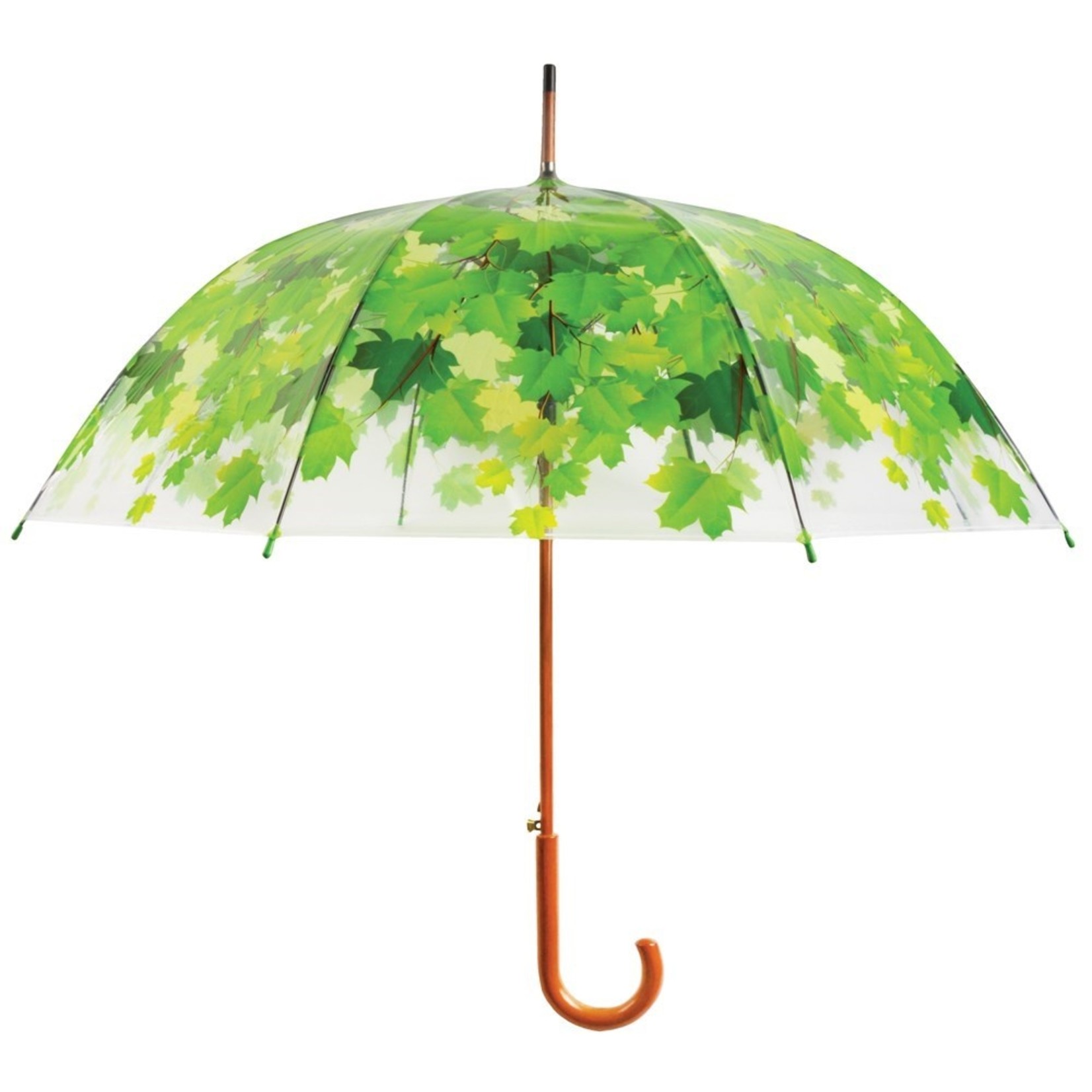 Tree Umbrella