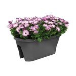 Elho Corsica Balcony Planter 60cm Grey