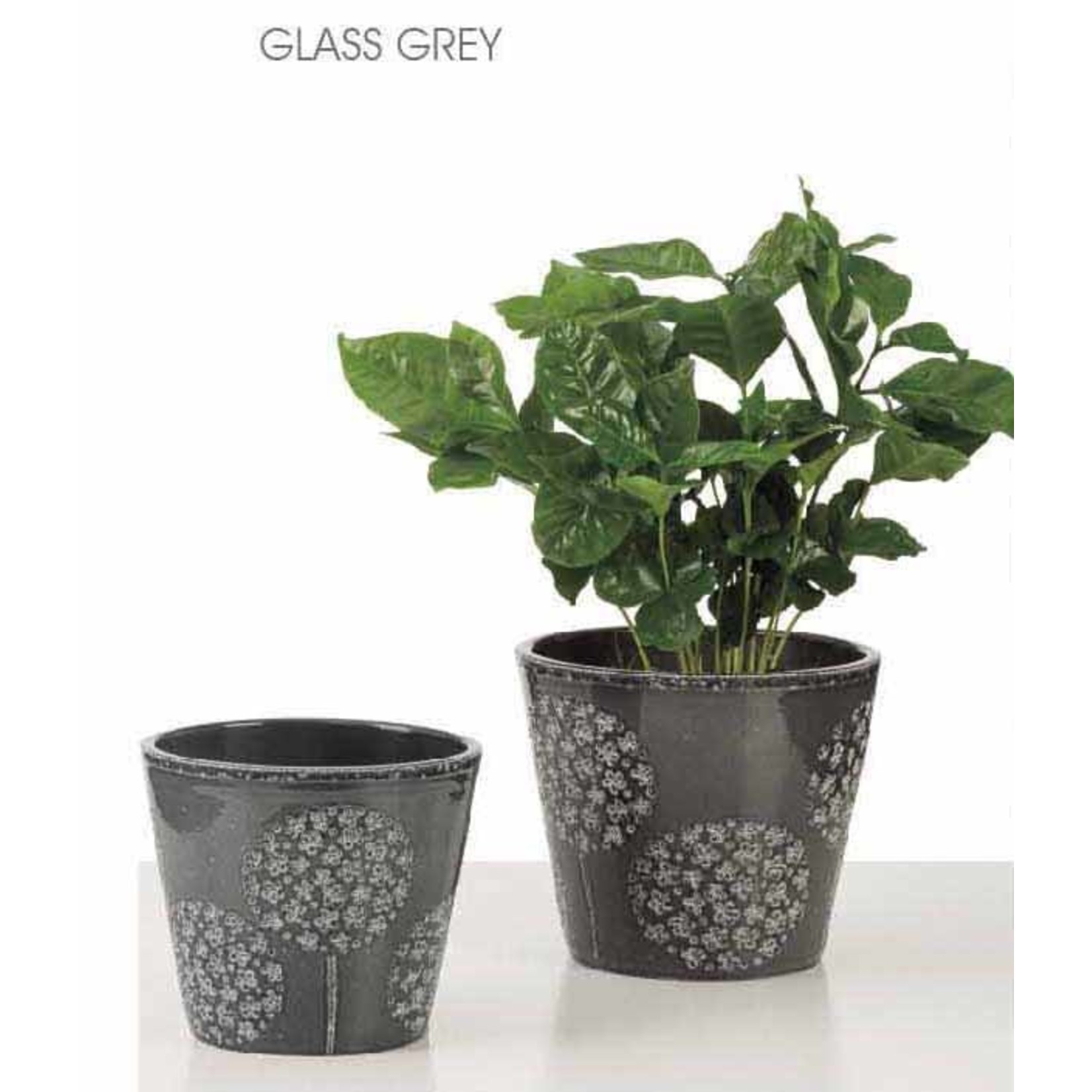 Glass Grey Pot - 15cm