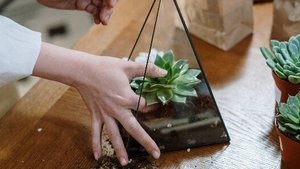 Impressive Indoor Garden Ideas Impressive Indoor Garden Ideas