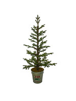 Evergreen 48" Artificial Tree in Holiday Metal Bucket