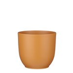 Modus Lifestyle Tusca Pot Brown Matte - 8"