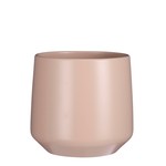 Modus Lifestyle Amber Pot - Pink - 5x5.25"