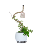 Mossify 16" Bendable Coir Pole