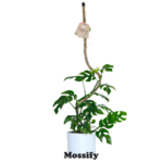 Mossify 30" Bendable Coir Pole