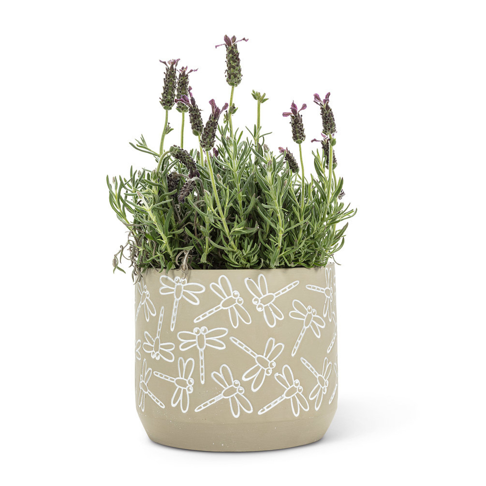 Abbott Dragonfly Planter - 7"