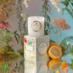 Voluspa Wildflowers Classic Candle