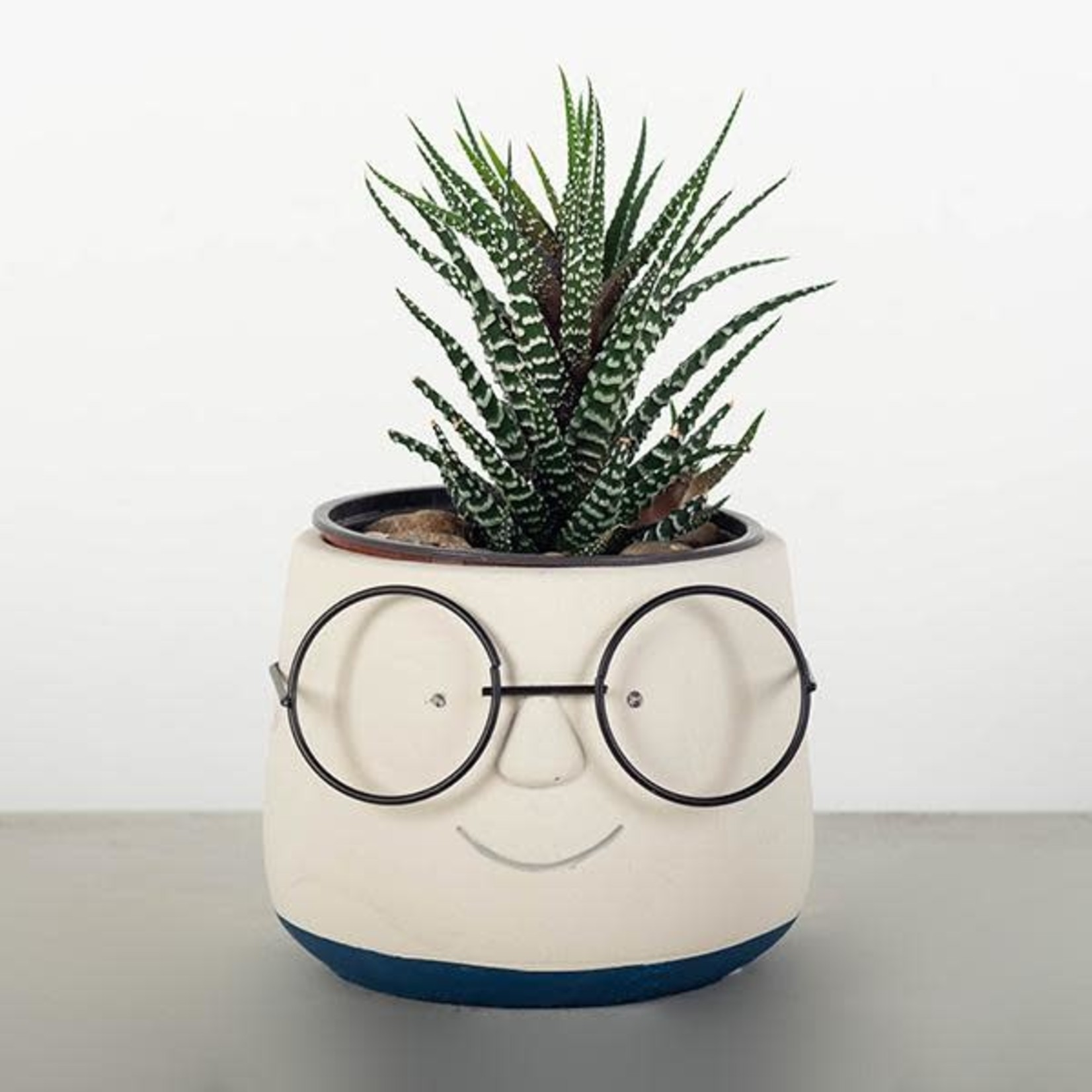 Forpost Trade Face with Glasses Pot - 4"