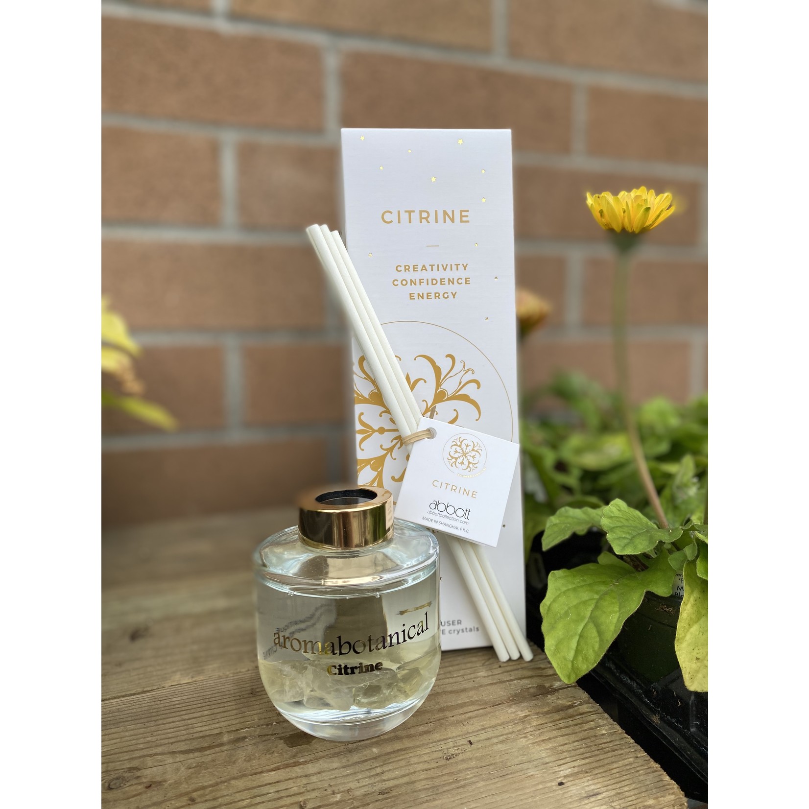 Abbott Citrine Reed Diffuser